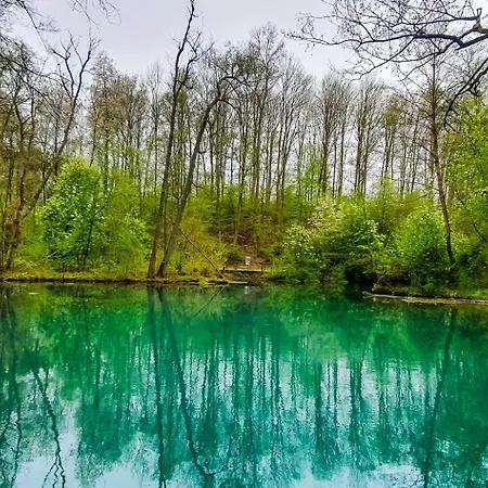 Harzblick Διαμέρισμα